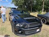 Mustang & Cougar meeting