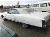 Cars & Coffee Oostende -  29 mei 2022