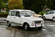Renault 4 herfstrit / balade d' automne Marchin - foto 57 van 112
