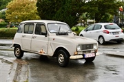 Renault 4 herfstrit / balade d' automne Marchin - foto 58 van 112