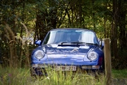 Red De Oldtimer - foto 5 van 400