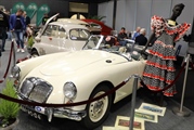 Classic Car Show Maastricht - foto 535 van 624