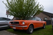 Mustang Fever - foto 15 van 111