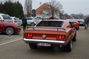 Mustang Fever - foto 50 van 111