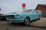 Mustang Fever - foto 57 van 111