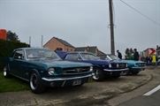 Mustang Fever