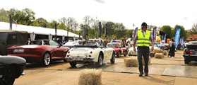 Antwerp Classic Car Event - foto 14 van 536