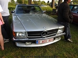 Cars on the grass (Putte) - foto 11 van 244