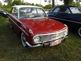 Cars on the grass (Putte) - foto 14 van 244