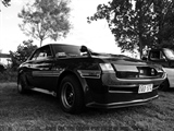 Cars on the grass (Putte) - foto 20 van 244