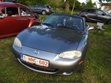 Cars on the grass (Putte) - foto 21 van 244