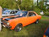 Cars on the grass (Putte) - foto 27 van 244