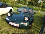 Cars on the grass (Putte) - foto 31 van 244