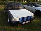 Cars on the grass (Putte) - foto 33 van 244