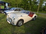 Cars on the grass (Putte) - foto 36 van 244