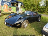Cars on the grass (Putte) - foto 38 van 244