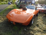 Cars on the grass (Putte) - foto 43 van 244