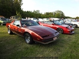 Cars on the grass (Putte) -  19 mei 2023