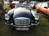 Cars on the grass (Putte) -  19 mei 2023