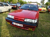 Cars on the grass (Putte) -  19 mei 2023