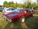 Cars on the grass (Putte) -  19 mei 2023