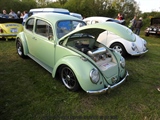 Cars on the grass (Putte) -  19 mei 2023