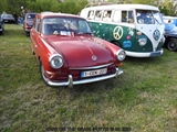 Cars on the grass (Putte)