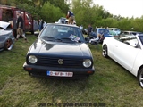 Cars on the grass (Putte)