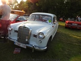 Cars on the grass (Putte) -  19 mei 2023
