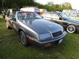 Cars on the grass (Putte) -  19 mei 2023