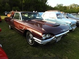 Cars on the grass (Putte) -  19 mei 2023