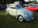 Cars on the grass (Putte) -  19 mei 2023