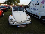 Cars on the grass (Putte)