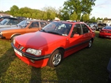Cars on the grass (Putte) -  19 mei 2023