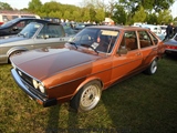Cars on the grass (Putte) -  19 mei 2023