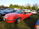 Cars on the grass (Putte) -  19 mei 2023