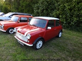 Cars on the grass (Putte) -  19 mei 2023
