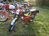 Cars on the grass (Putte) -  19 mei 2023