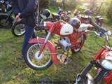Cars on the grass (Putte) -  19 mei 2023
