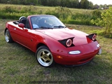 Cars on the grass (Putte) -  19 mei 2023