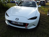 Cars on the grass (Putte) -  19 mei 2023