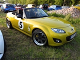 Cars on the grass (Putte) -  19 mei 2023