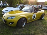 Cars on the grass (Putte) -  19 mei 2023