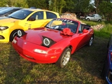 Cars on the grass (Putte) -  19 mei 2023