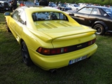 Cars on the grass (Putte) -  19 mei 2023