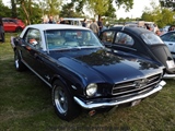 Cars on the grass (Putte) -  19 mei 2023