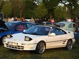 Cars on the grass (Putte) -  19 mei 2023