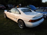 Cars on the grass (Putte) -  19 mei 2023
