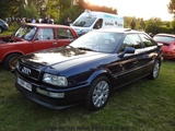 Cars on the grass (Putte) -  19 mei 2023