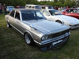 Cars on the grass (Putte) -  19 mei 2023